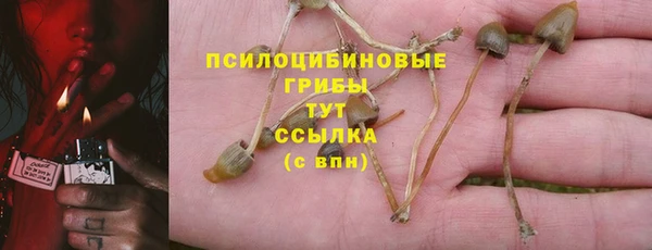хмурый Баксан