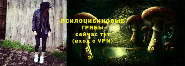 гашик Балабаново